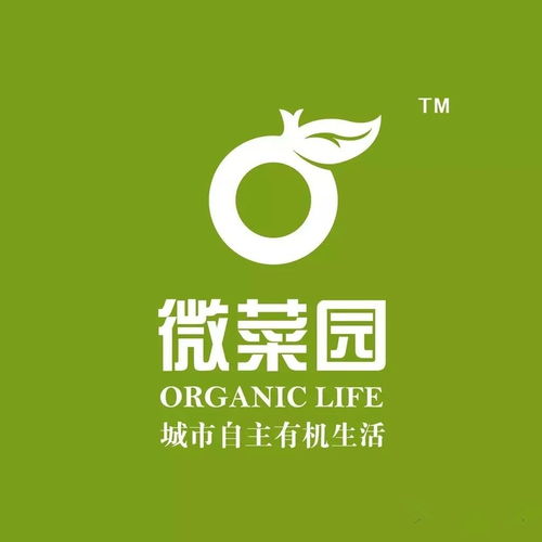 北京微菜园与微锦网络 数字时代的绿意创新