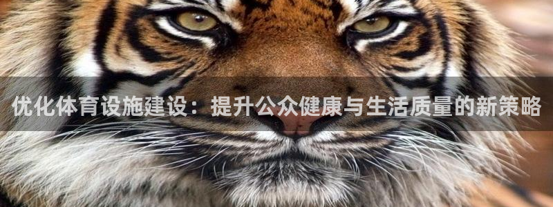 五星体育台节目：优化体育设施建设：提升公众健康与生活质量的新策略