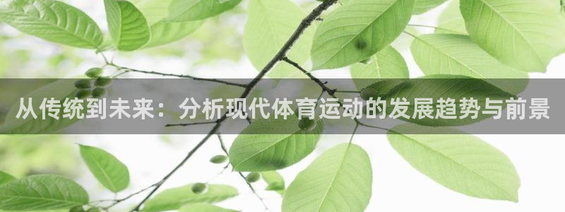 五星体育张瑶：从传统到未来：分析现代体育运动的发展趋势与前景