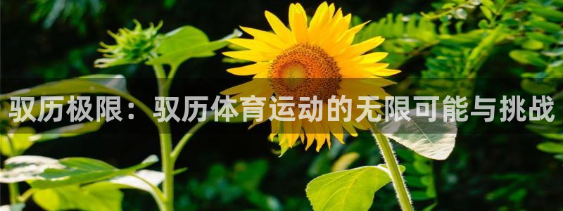 五星体育cba转播：驭历极限：驭历体育运动的无限可能与挑战