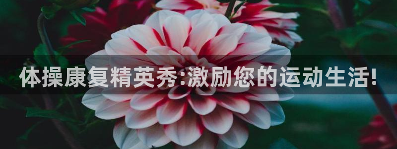 五星体育电视节目预告：体操康复精英秀:激励您的运动生活!