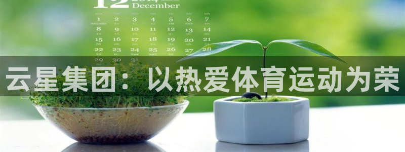 五星体育 数字主播：云星集团：以热爱体育运动为荣
