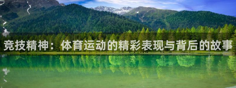 五星体育官网：竞技精神：体育运动的精彩表现与背后的故事