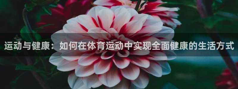 2004f1法国站五星体育：运动与健康：如何在体育运动中实现全面健康的生活方式