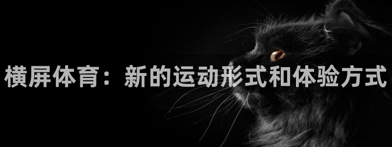 五星体育巴西大奖赛：横屏体育：新的运动形式和体验方式